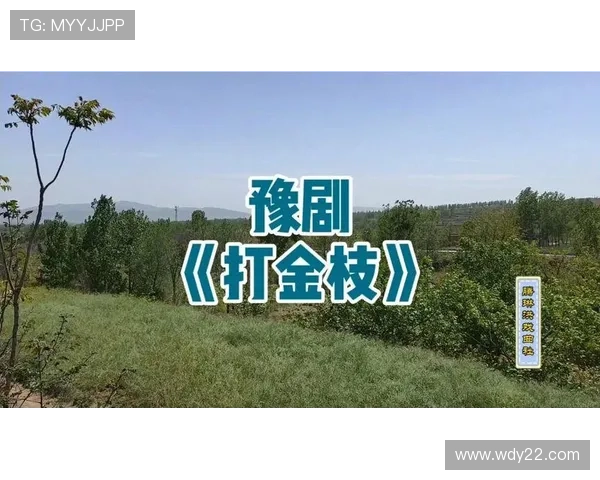 闊╁獟鍔涜崘鐢冲彴榫欐墽鏁欏浗瓒筹細鏇捐浼婁竾鍑昏触锛岃兘鍚︽墦鐮磋川鐤戯紵